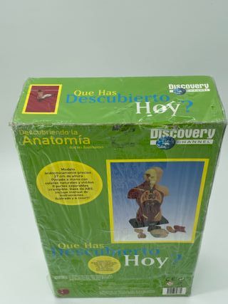 Modelo Anatomía Torso Humano Discovery Channel