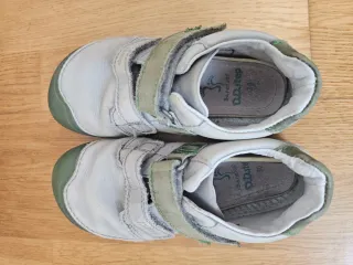 DDSTEP dinosaurios T.30 brillan noche