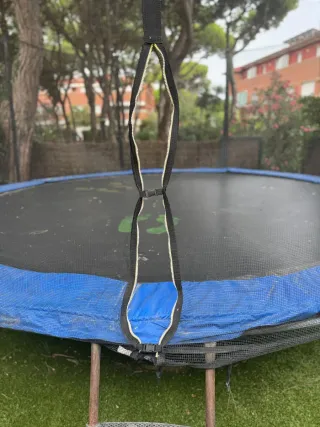 Cama elástica Berg 3.8m