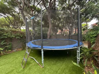 Cama elástica Berg 3.8m