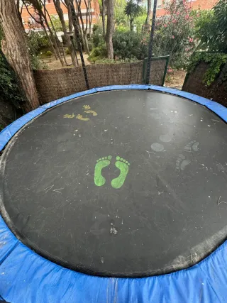 Cama elástica Berg 3.8m