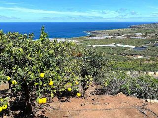 Terreno en venta en Buenavista del Norte