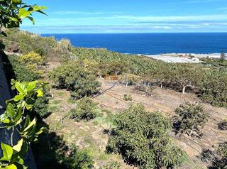 Terreno en venta en Buenavista del Norte