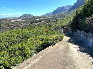 Terreno en venta en Buenavista del Norte