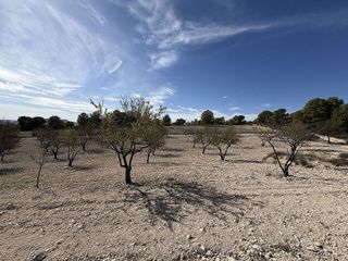 Casa rural en venta en Sax