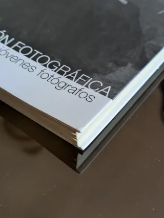 La visión fotográfica : curso de fotografía par...