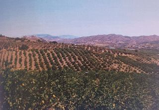 Terreno en venta en Álora