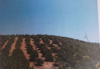 Terreno en venta en Álora