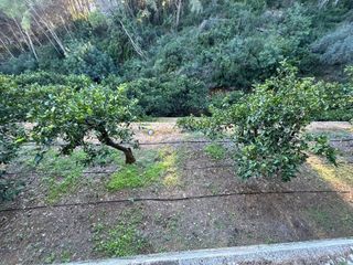 Terreno en venta en Simat de la Valldigna