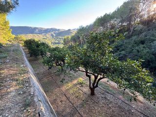 Terreno en venta en Simat de la Valldigna