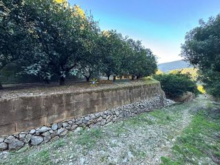 Terreno en venta en Simat de la Valldigna