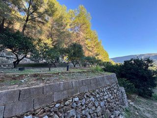 Terreno en venta en Simat de la Valldigna