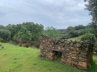 Terreno en venta en San Vicente de Alcántara