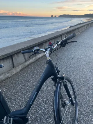 Bicicleta eléctrica Winora 7