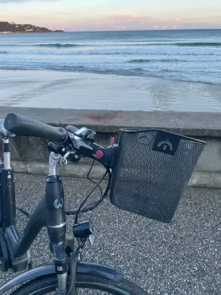 Bicicleta eléctrica Winora 7