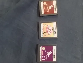 3 Juegos Nintendo DS: Nintendogs y Big Brain Acade