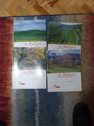 Libros provincia Burgos