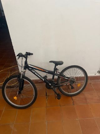 Pack 4 Bicicletas Orbea