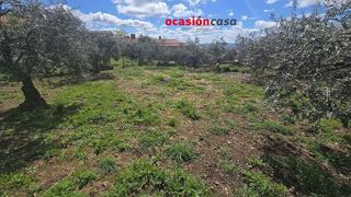 Solar en venta en Peñarroya-Pueblonuevo