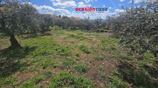 Solar en venta en Peñarroya-Pueblonuevo