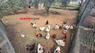 Solar en venta en Peñarroya-Pueblonuevo