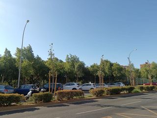 Piso en venta en Santa Aurelia en Sevilla