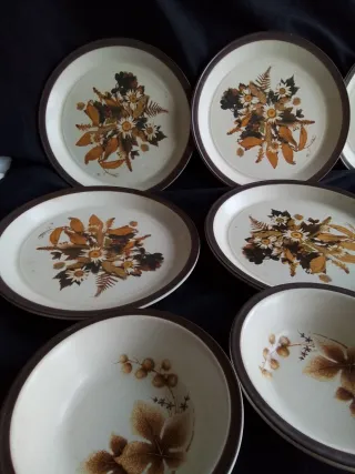 Vajilla Staffordshire Flores Marrones