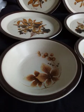 Vajilla Staffordshire Flores Marrones