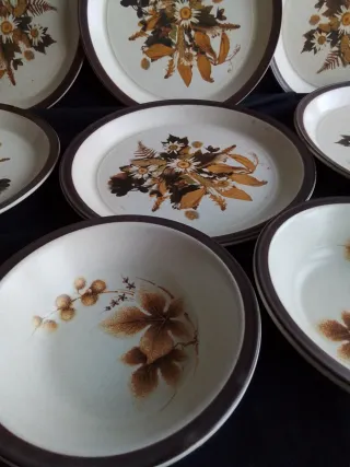 Vajilla Staffordshire Flores Marrones