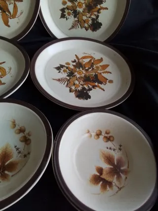 Vajilla Staffordshire Flores Marrones