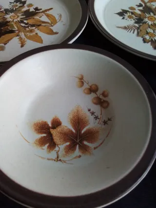 Vajilla Staffordshire Flores Marrones