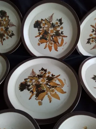 Vajilla Staffordshire Flores Marrones