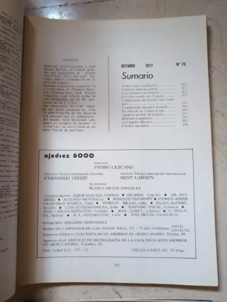 Conjunto 19 revistas Ajedrez 6000