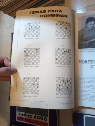 Conjunto 19 revistas Ajedrez 6000