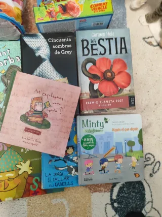 Lote libros y juguetes