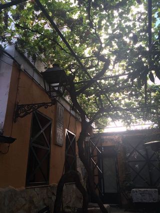 Piso en alquiler en Palacio en Madrid