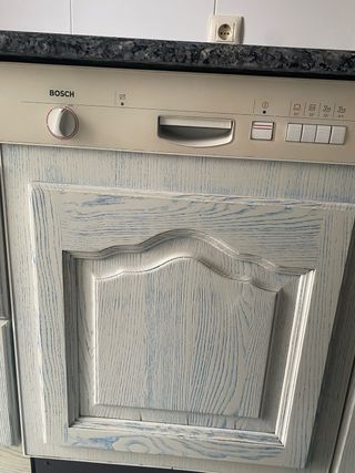 Lavavajillas panelado