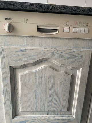 Lavavajillas panelado