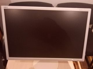 Monitor PC VGA Plata/Negro