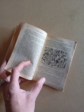 Minilibro La Bruja Muerta de Claude Martin