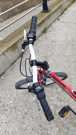 Bici Oregon super oversized 24"