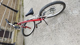 Bici Oregon super oversized 24"