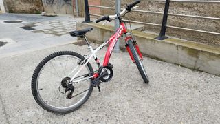 Bici Oregon super oversized 24"