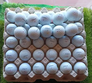 40 Pelotas de Golf Titleist ProV1X