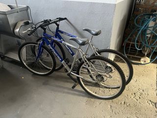 Bicicleta de montaña Top Trotter