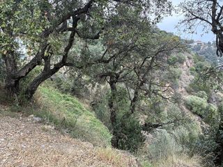 Terreno en venta en Can Semi - Mas Nou - Mas Ros en Castell-Platja d´Aro