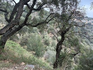 Terreno en venta en Can Semi - Mas Nou - Mas Ros en Castell-Platja d´Aro