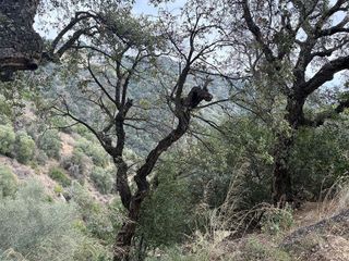 Terreno en venta en Can Semi - Mas Nou - Mas Ros en Castell-Platja d´Aro