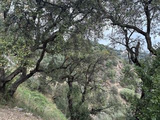 Terreno en venta en Can Semi - Mas Nou - Mas Ros en Castell-Platja d´Aro