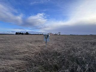 Terreno en venta en Membrilla